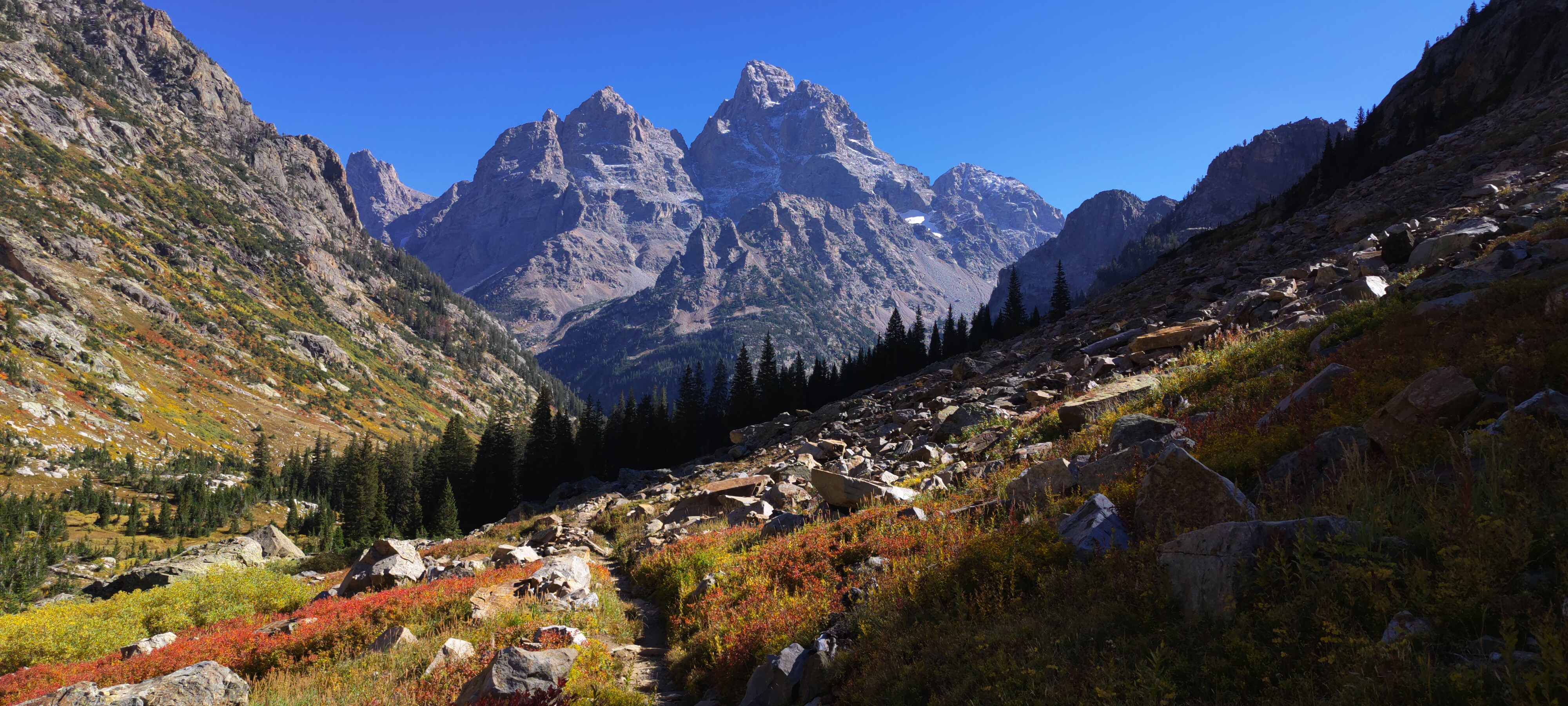 Teewinot, Mt. Owen and The Grand Teton from Cascade Canyon